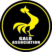 GALO ASSOCIATION BJJ