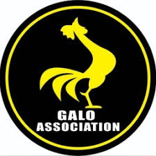 GALO ASSOCIATION BJJ