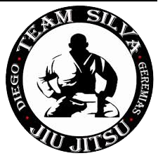 TEAM SILVA PROJECT
